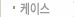 케이스